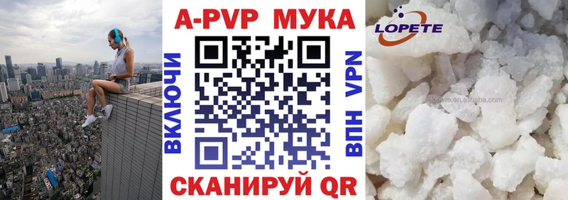 Альфа ПВП СК КРИС Сухиничи