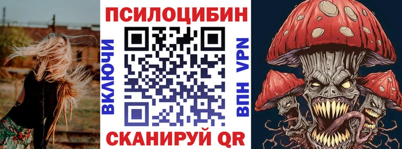 KRAKEN онион Сухиничи Псилоцибиновые грибы Cubensis цена наркотик